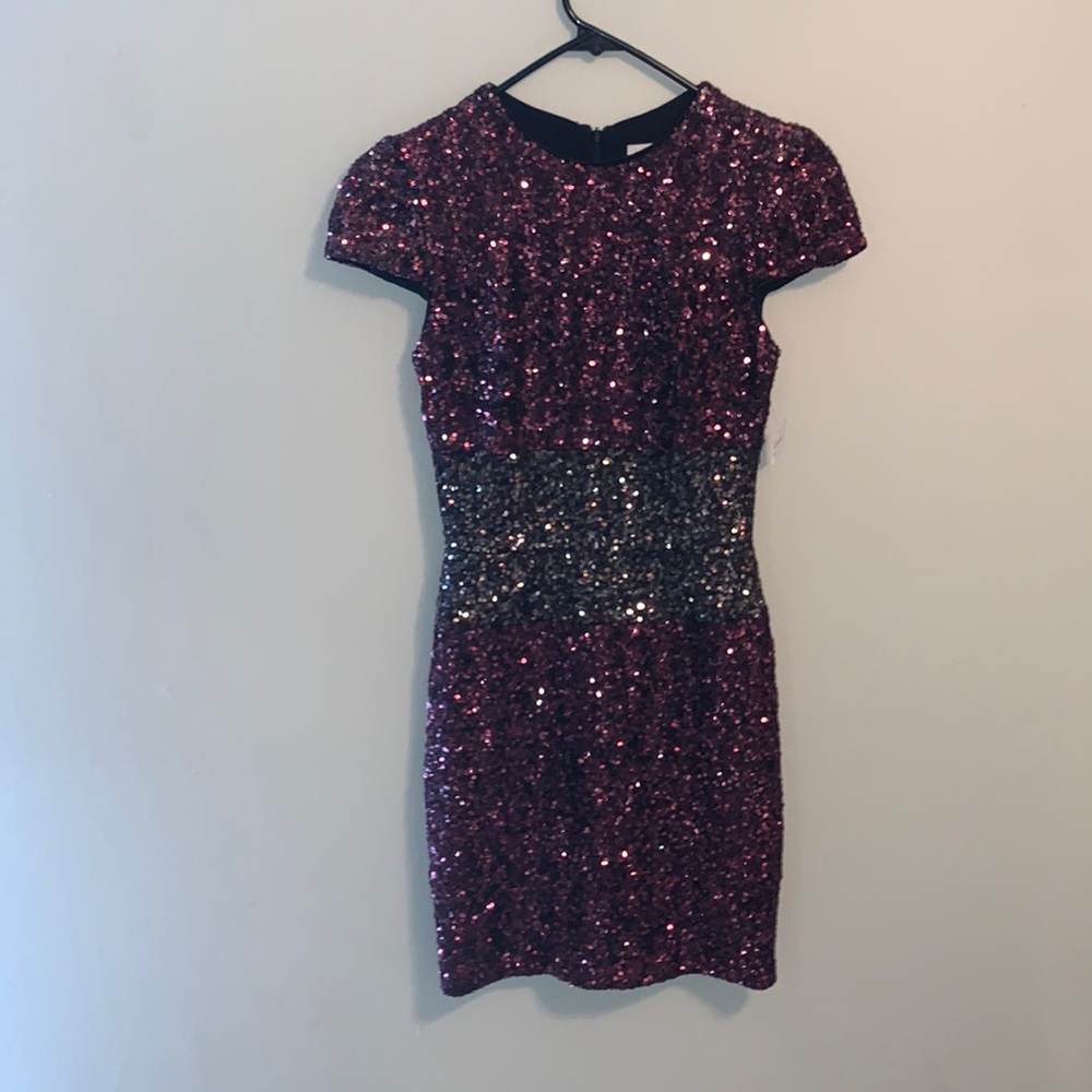 Dress the Population Sequin Dress